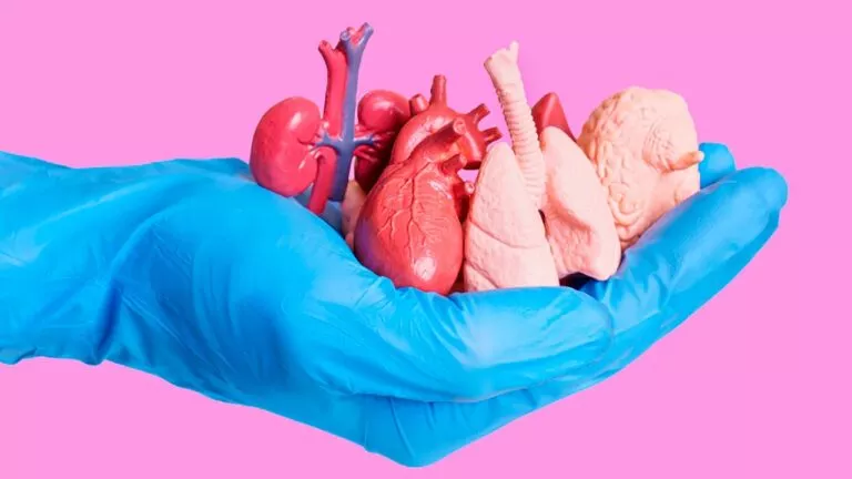 Descubra Como Funciona a Cobertura de Transplantes nos Planos de Saúde em 2026